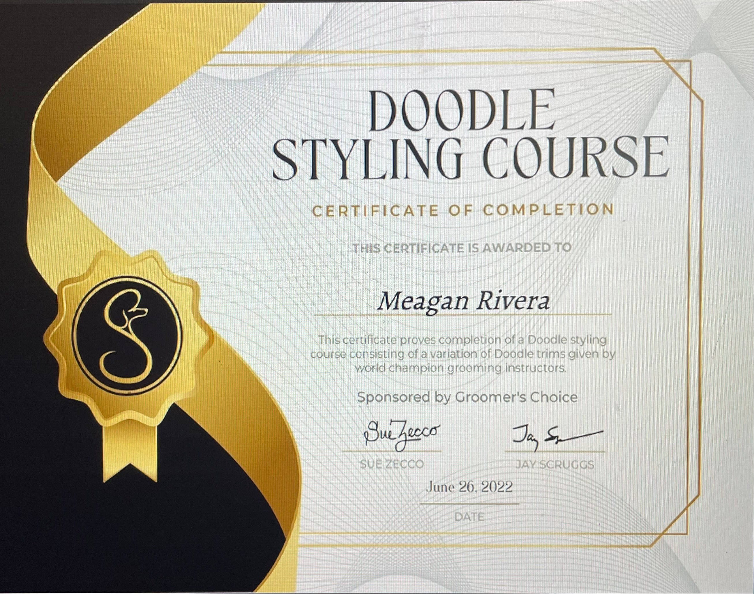 Doodle Styling Course certificate — Meagan Rivera